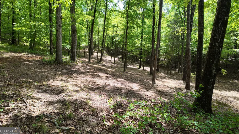 3640 Bullock Bridge RD Monroe, GA 30656