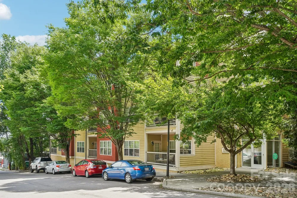 175 S Lexington Avenue #303 Asheville, NC 28801