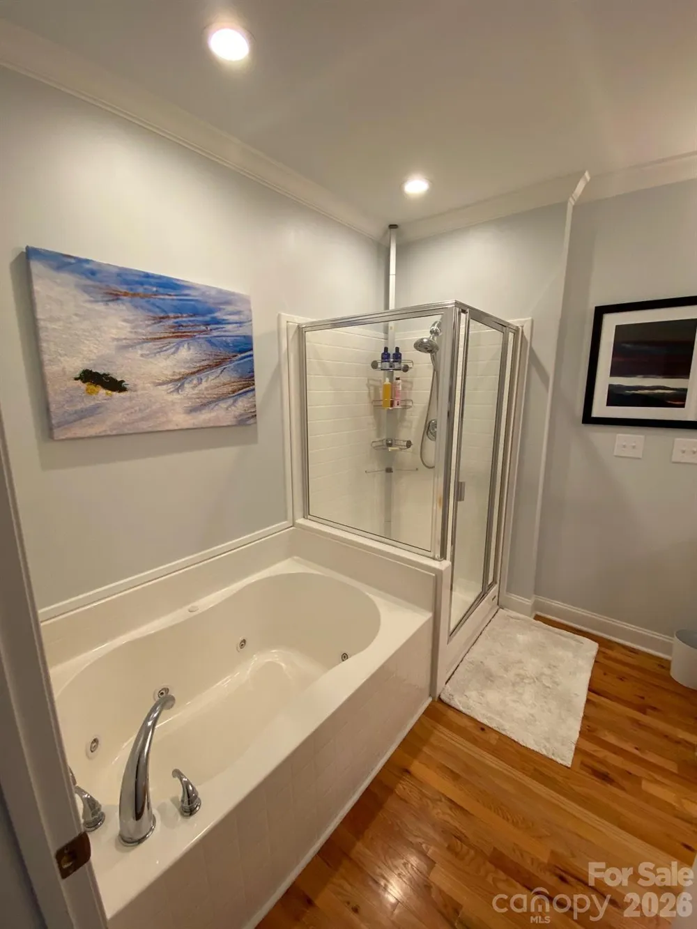 175 S Lexington Avenue #303 Asheville, NC 28801