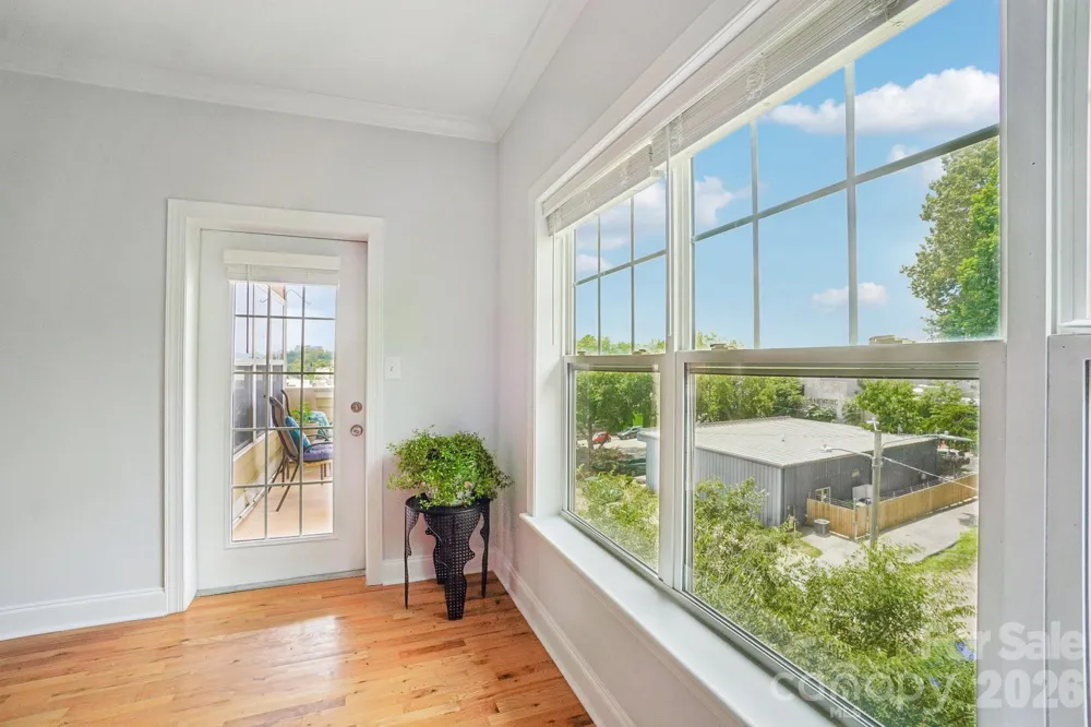 175 S Lexington Avenue #303 Asheville, NC 28801