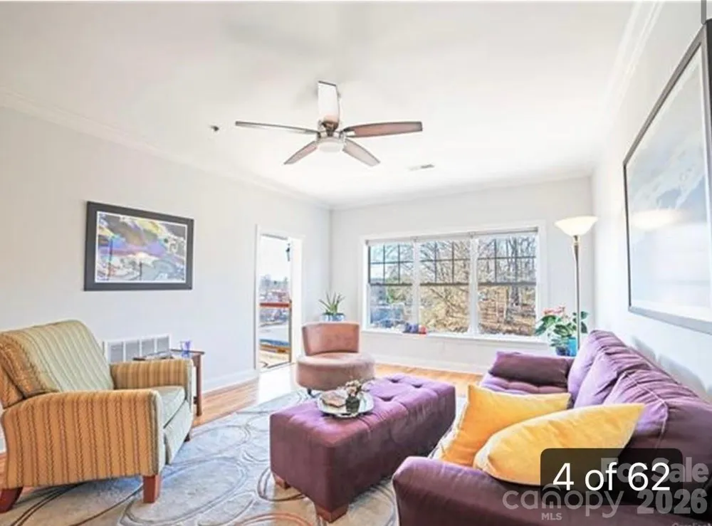 175 S Lexington Avenue #303 Asheville, NC 28801