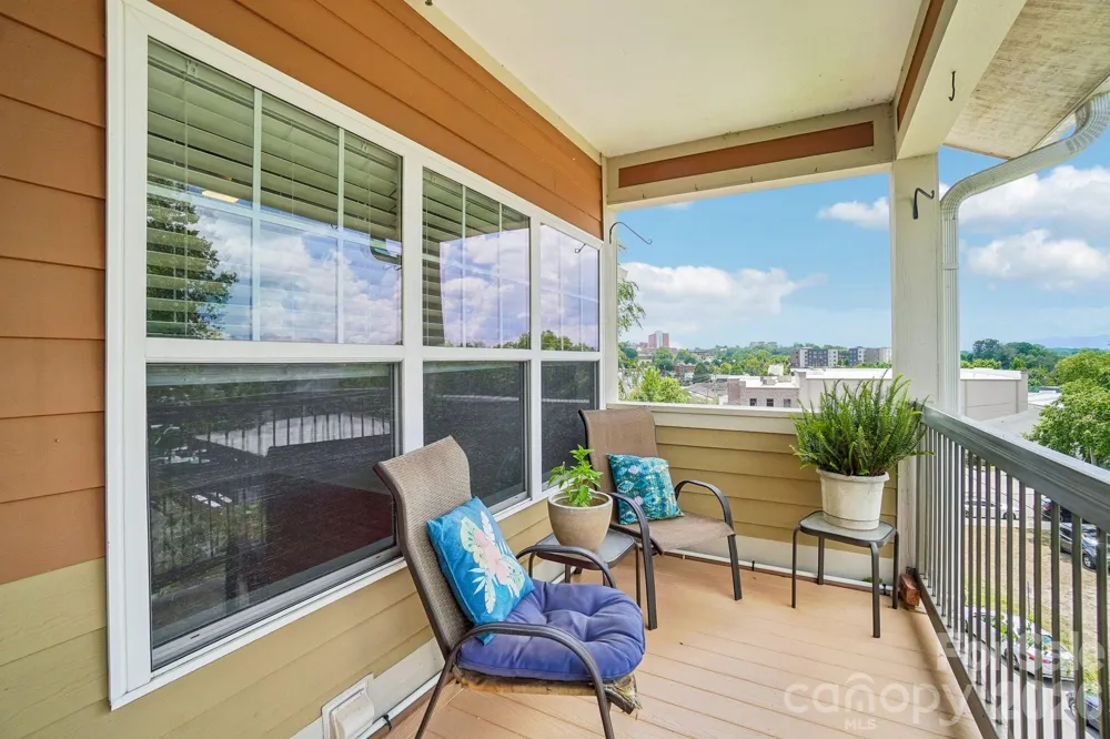 175 S Lexington Avenue #303 Asheville, NC 28801