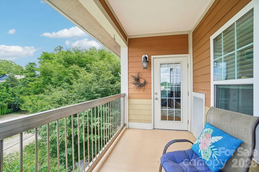 175 S Lexington Avenue #303 Asheville, NC 28801