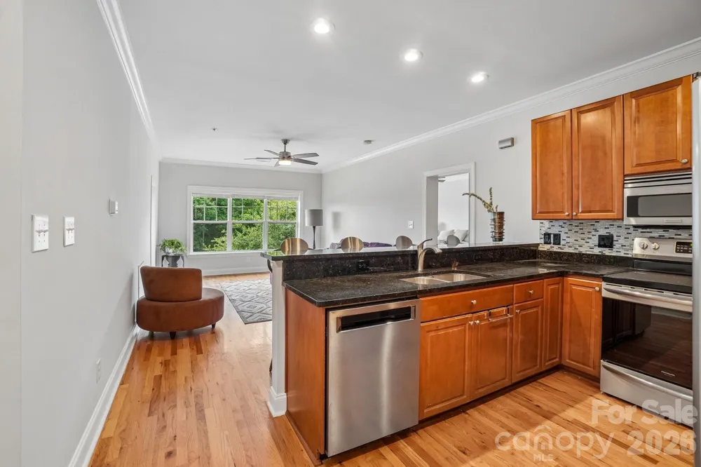 175 S Lexington Avenue #303 Asheville, NC 28801