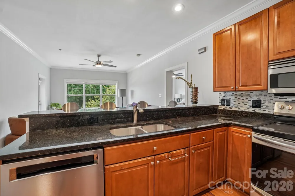 175 S Lexington Avenue #303 Asheville, NC 28801
