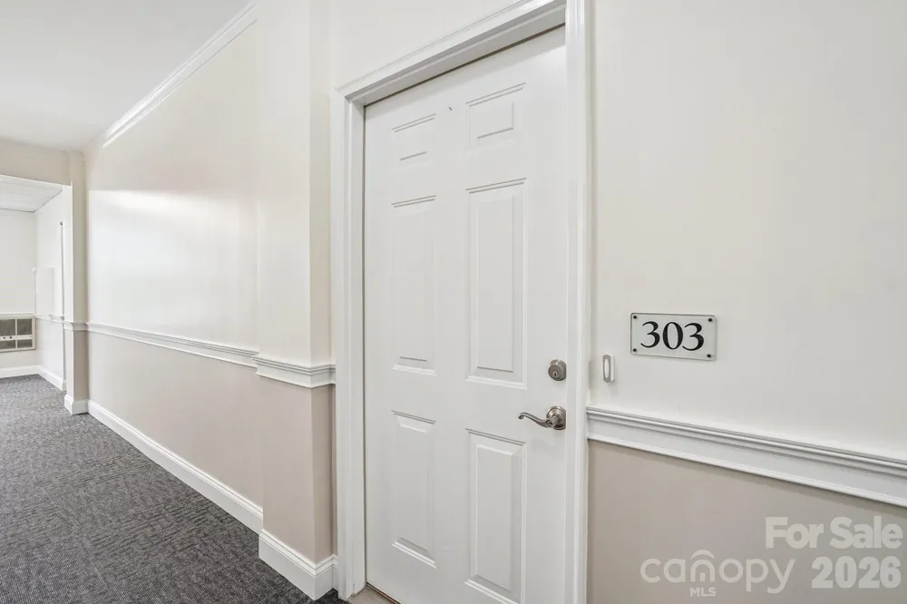 175 S Lexington Avenue #303 Asheville, NC 28801