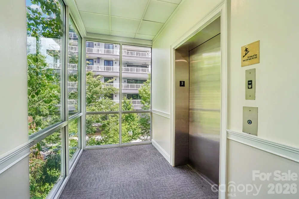 175 S Lexington Avenue #303 Asheville, NC 28801