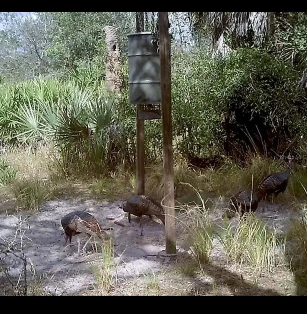 49907 & 49909 BERMONT ROAD Punta Gorda, FL 33982