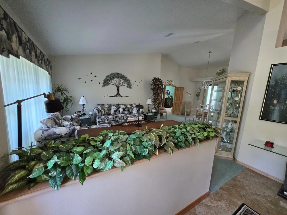 244 W MASSACHUSETTS STREET Hernando, FL 34442