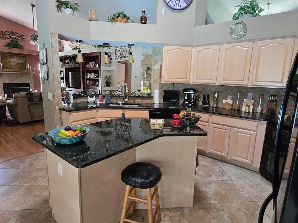 244 W MASSACHUSETTS STREET Hernando, FL 34442