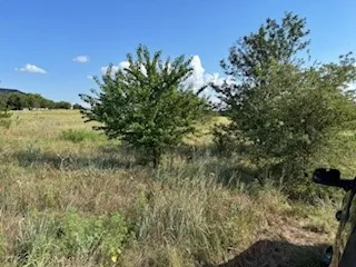 County Road 4000 Gainesville, TX 76240