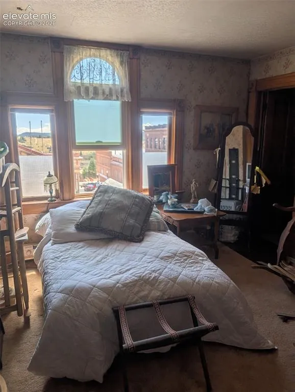 401 E Carr Avenue Cripple Creek, CO 80813