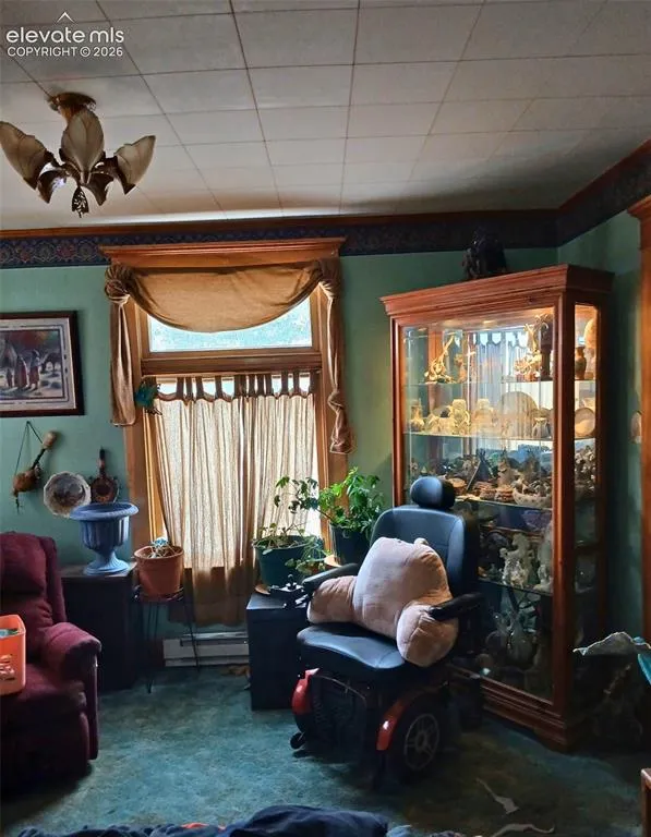 401 E Carr Avenue Cripple Creek, CO 80813