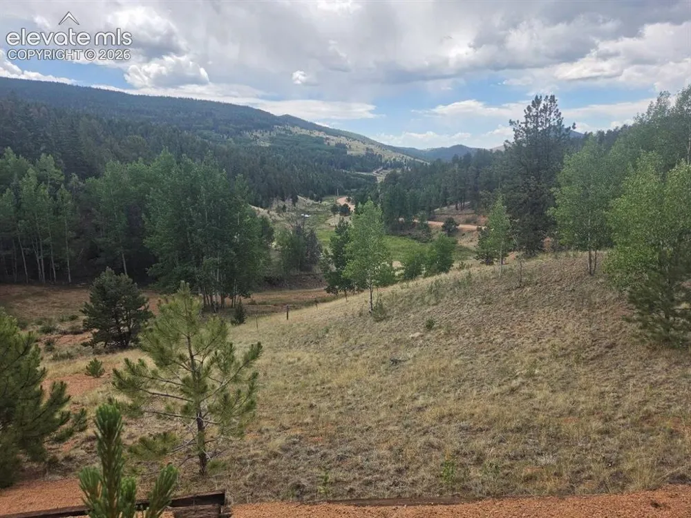 1124 Yorktown Road Cripple Creek, CO 80813