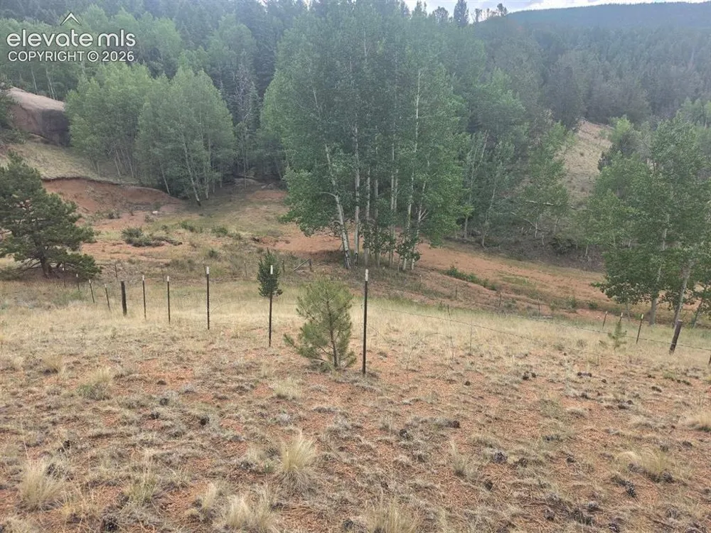 1124 Yorktown Road Cripple Creek, CO 80813