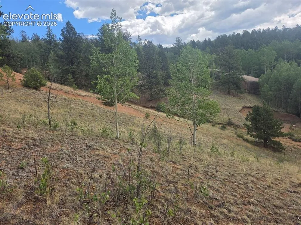 1124 Yorktown Road Cripple Creek, CO 80813