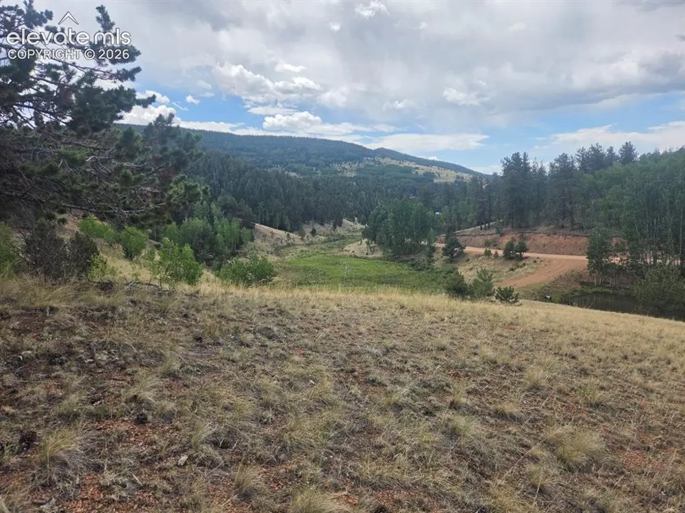 1124 Yorktown Road Cripple Creek, CO 80813