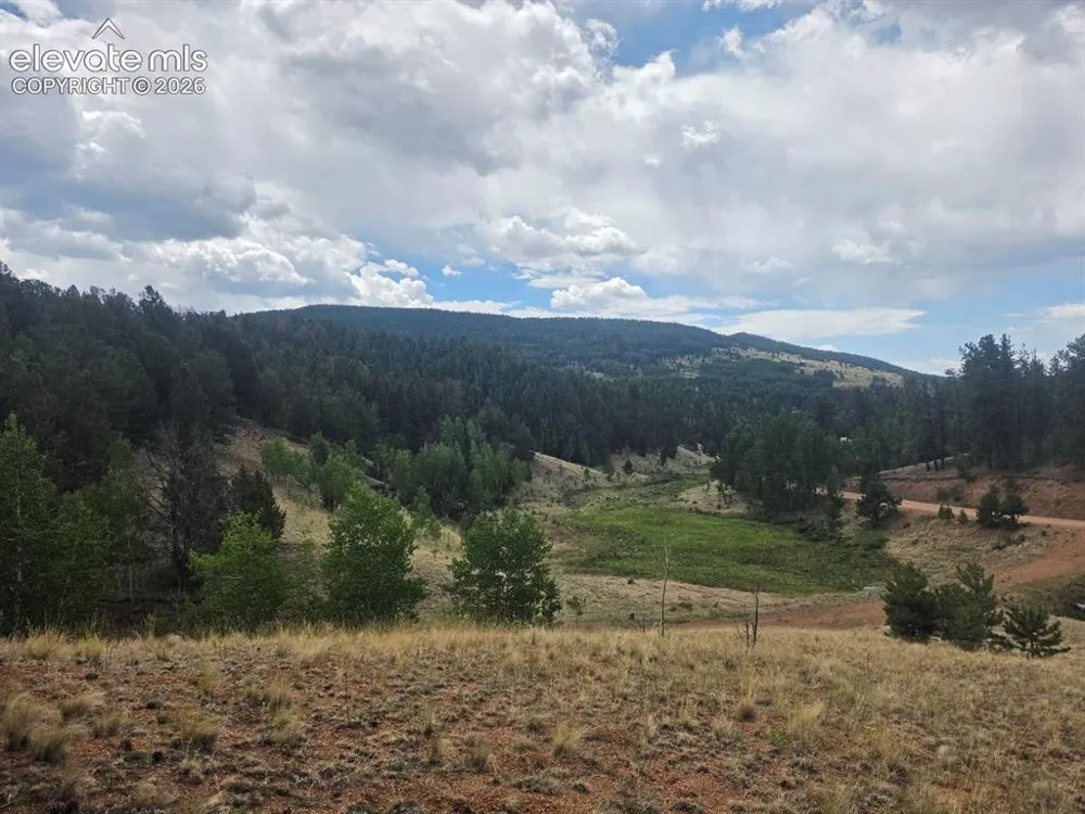 1124 Yorktown Road Cripple Creek, CO 80813