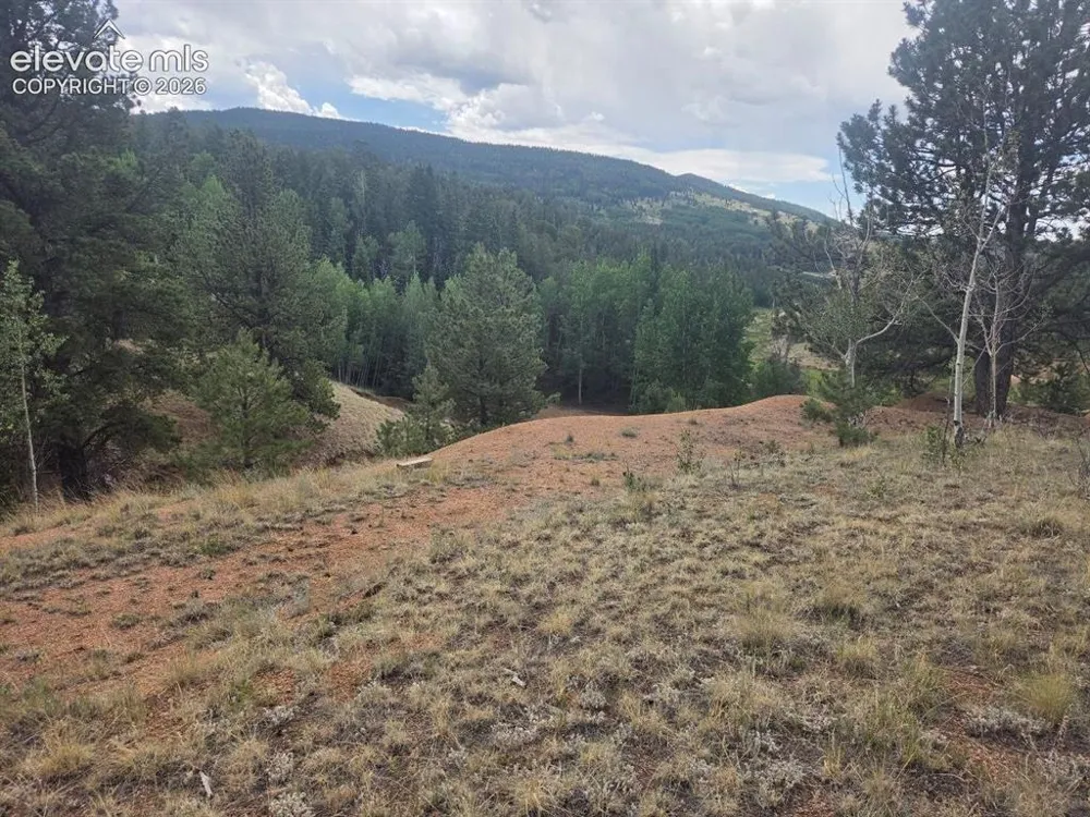1124 Yorktown Road Cripple Creek, CO 80813