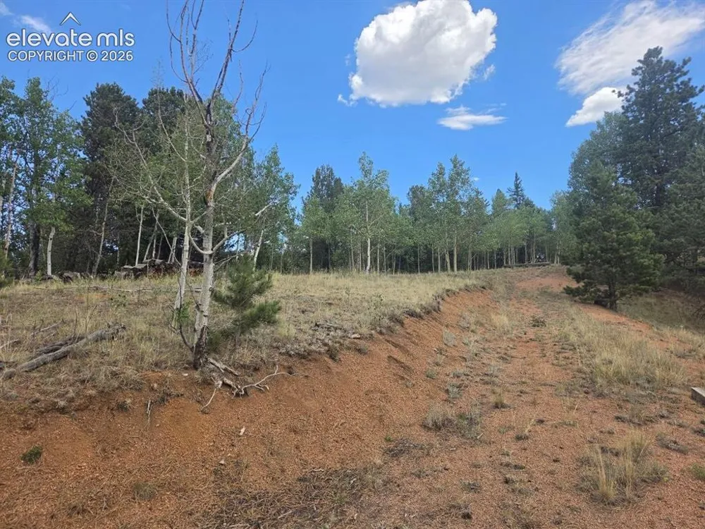 1124 Yorktown Road Cripple Creek, CO 80813