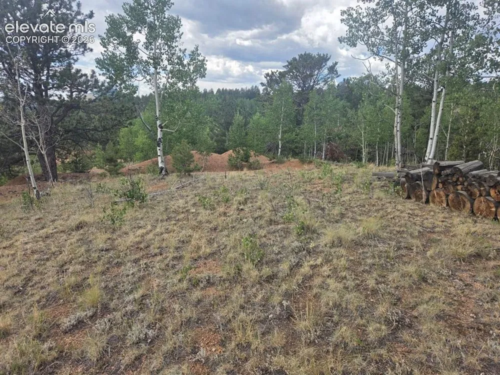 1124 Yorktown Road Cripple Creek, CO 80813