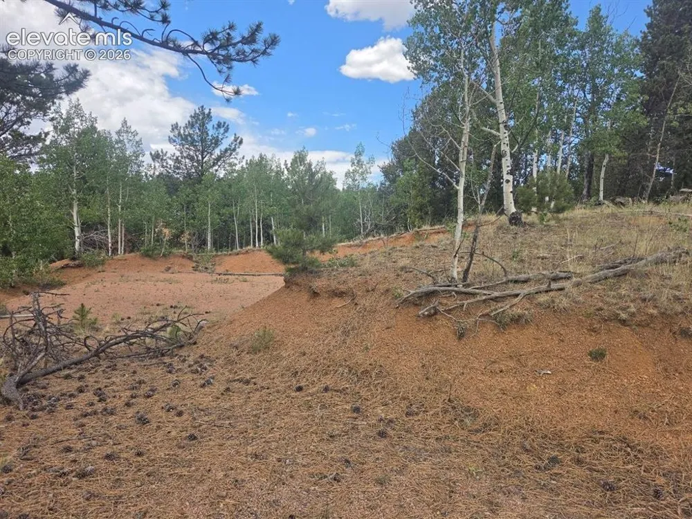 1124 Yorktown Road Cripple Creek, CO 80813