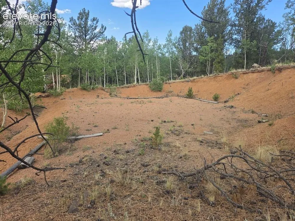1124 Yorktown Road Cripple Creek, CO 80813