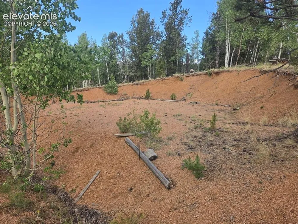 1124 Yorktown Road Cripple Creek, CO 80813