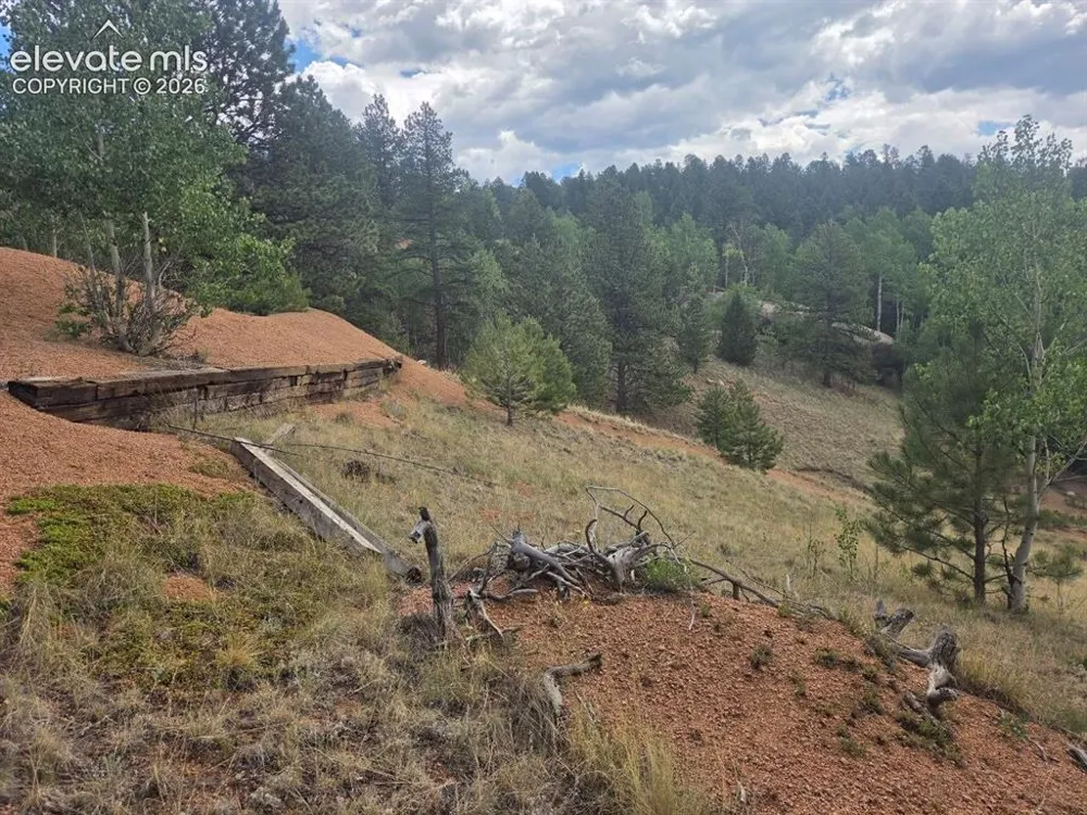 1124 Yorktown Road Cripple Creek, CO 80813