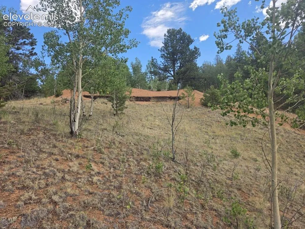 1124 Yorktown Road Cripple Creek, CO 80813