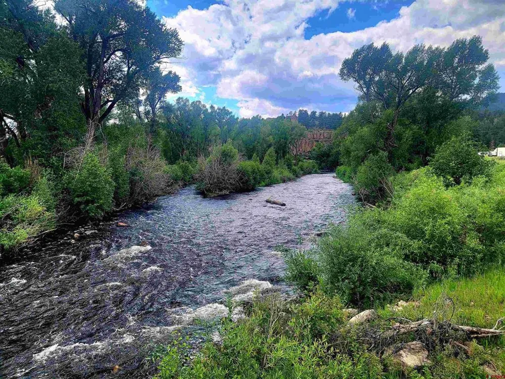 31098 Hwy 160 South Fork, CO 81154