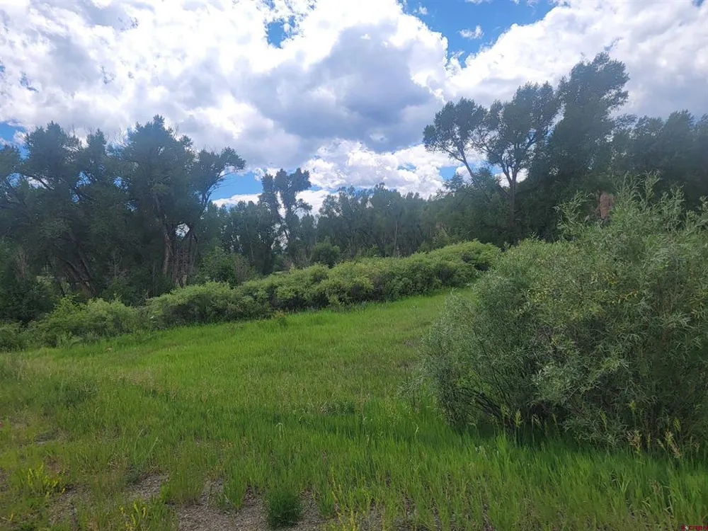 31098 Hwy 160 South Fork, CO 81154