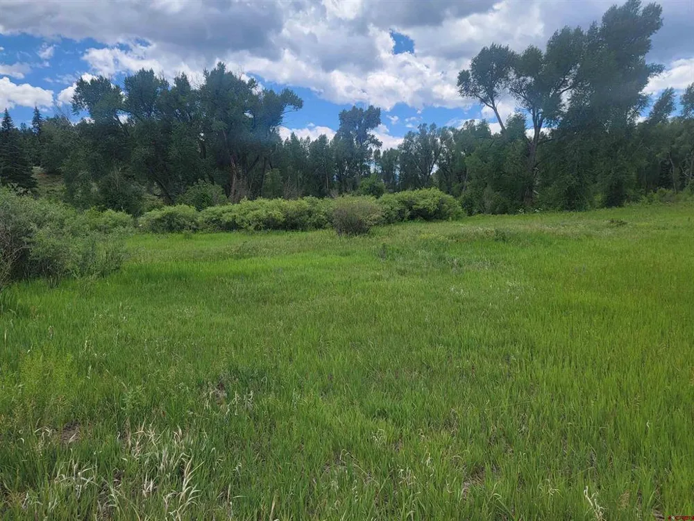 31098 Hwy 160 South Fork, CO 81154