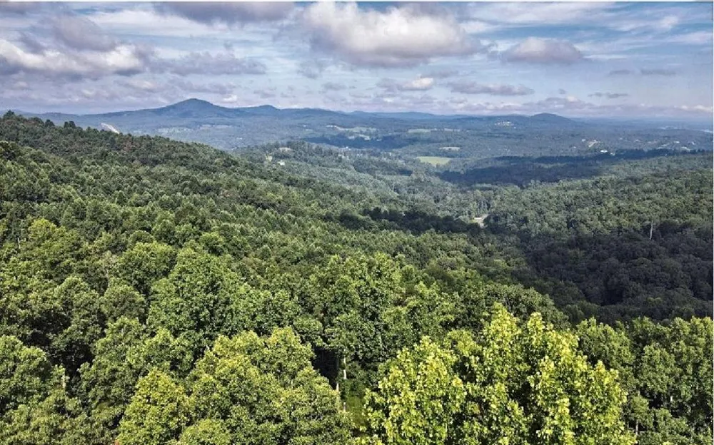 Lt 95 Thirteen Hundred Blairsville, GA 30512