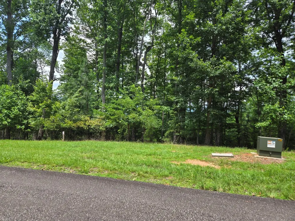 Lt 95 Thirteen Hundred Blairsville, GA 30512