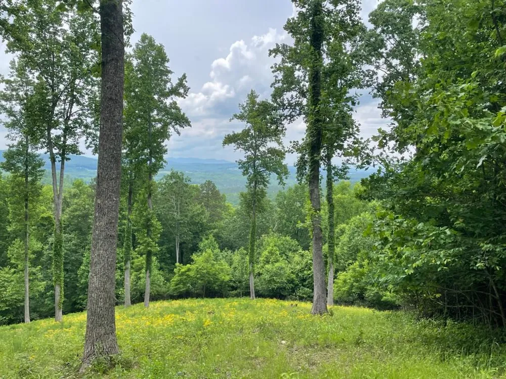 Lt 95 Thirteen Hundred Blairsville, GA 30512