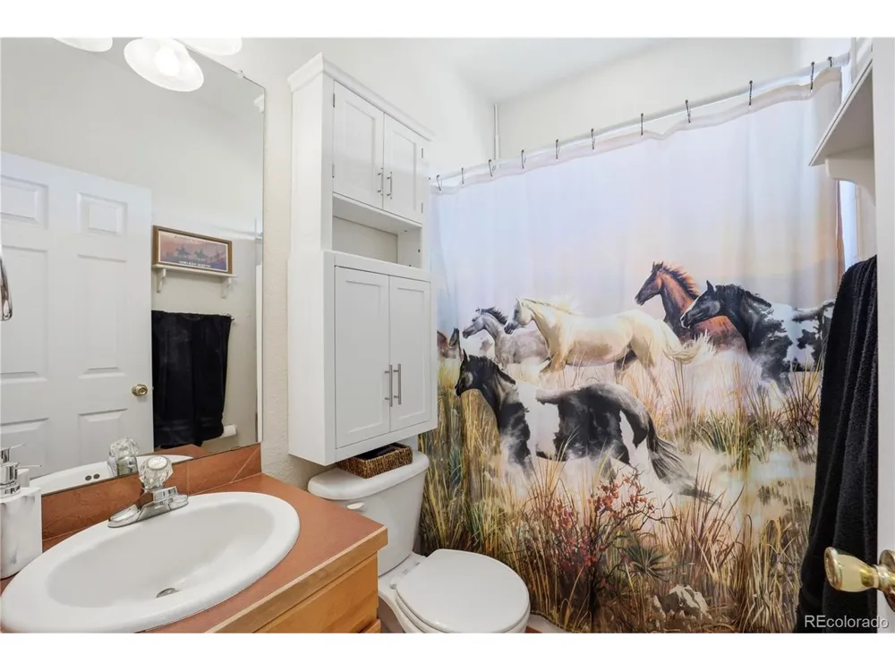 35880 E 149th Court Hudson, CO 80642