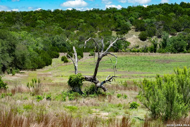 1634 KALLENBERG -KLINKSEIK Fredericksburg, TX 78624