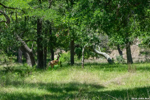 1634 KALLENBERG -KLINKSEIK Fredericksburg, TX 78624