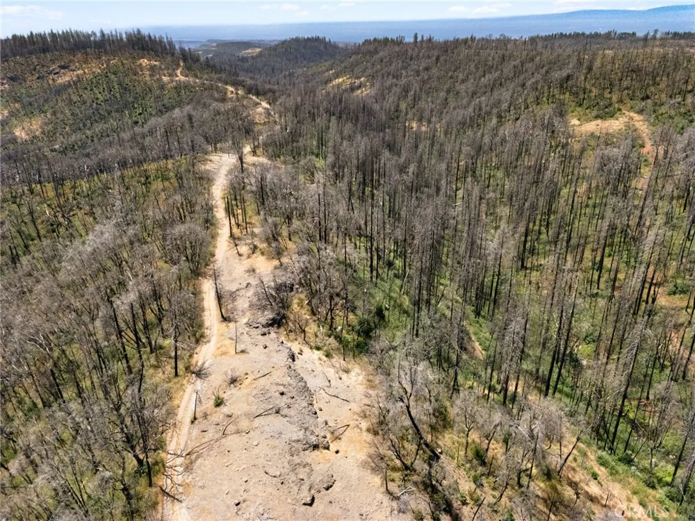 335 Mann And Nolta Ridge Chico, CA 95973