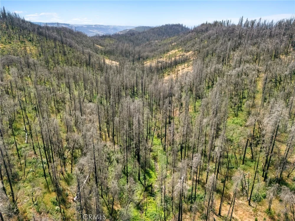 335 Mann And Nolta Ridge Chico, CA 95973