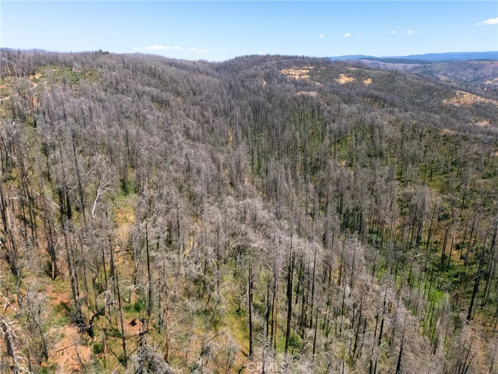 335 Mann And Nolta Ridge Chico, CA 95973