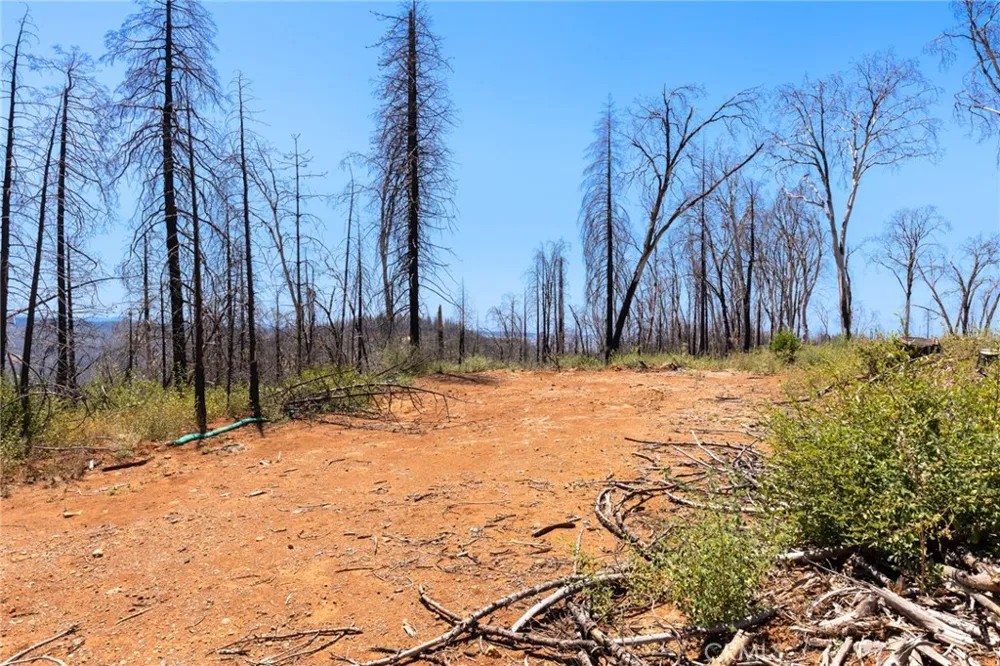 335 Mann And Nolta Ridge Chico, CA 95973