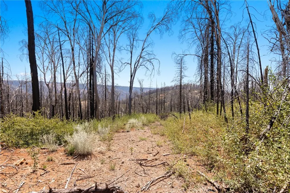 335 Mann And Nolta Ridge Chico, CA 95973