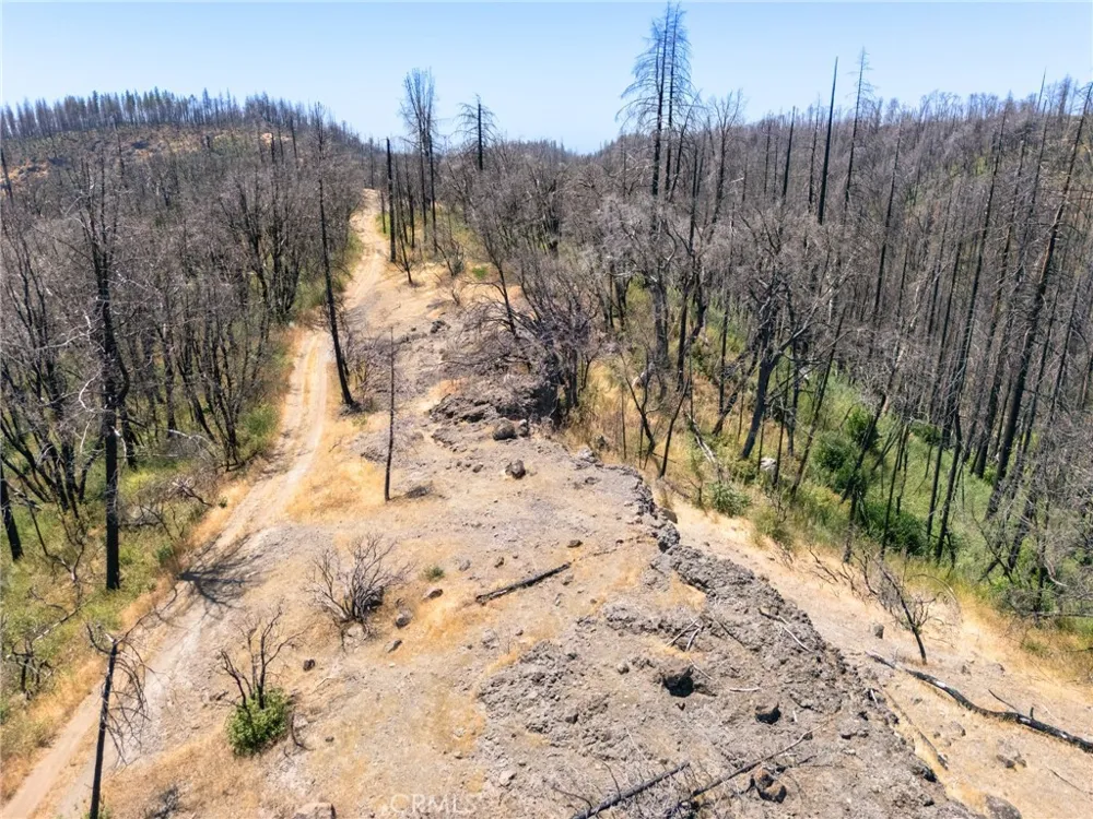 335 Mann And Nolta Ridge Chico, CA 95973