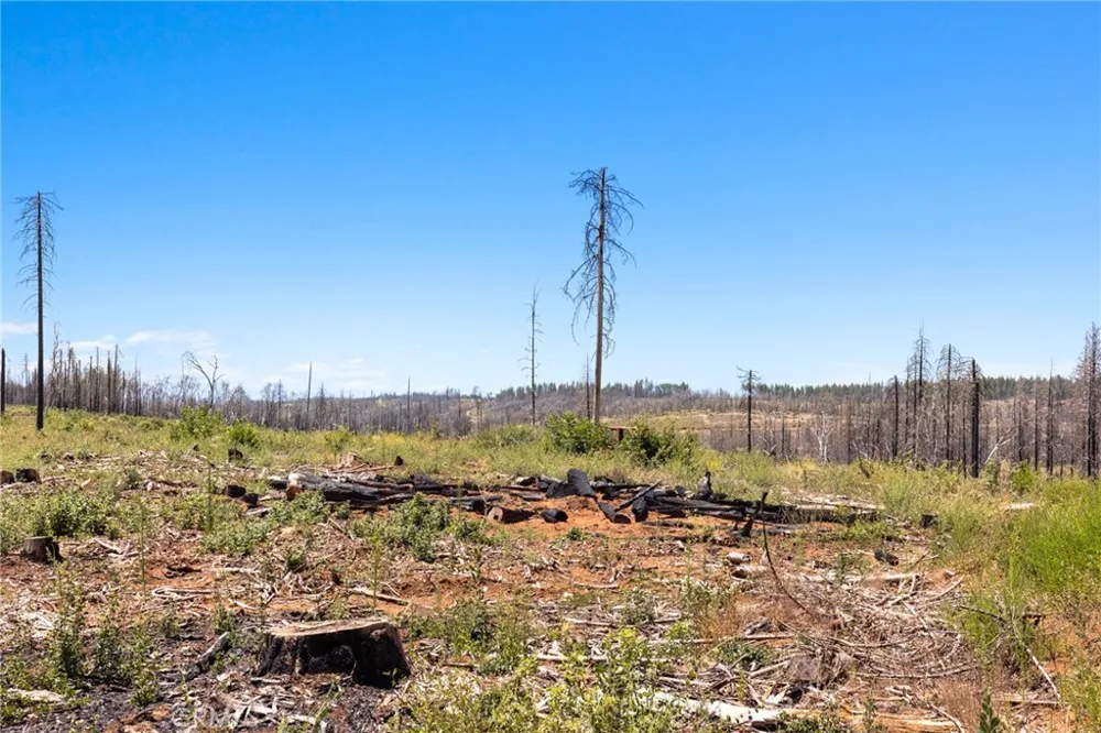 335 Mann And Nolta Ridge Chico, CA 95973