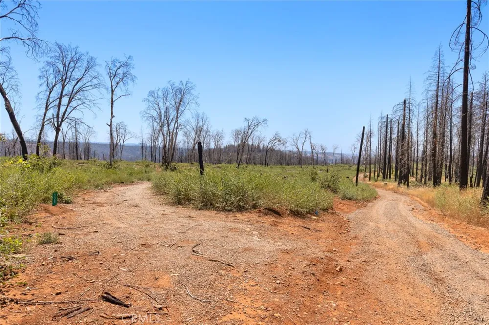 335 Mann And Nolta Ridge Chico, CA 95973