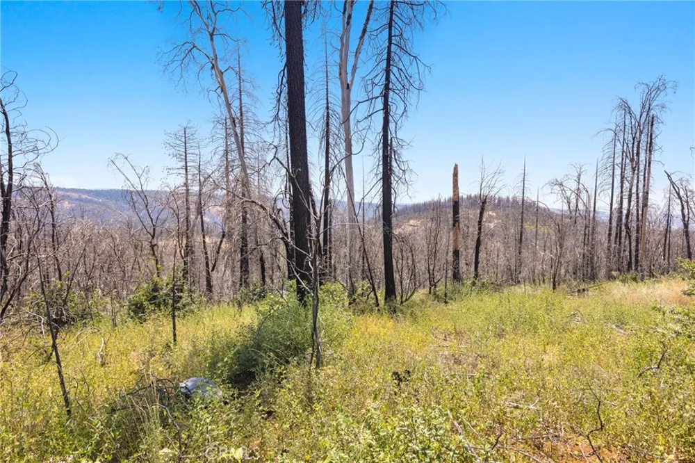 335 Mann And Nolta Ridge Chico, CA 95973