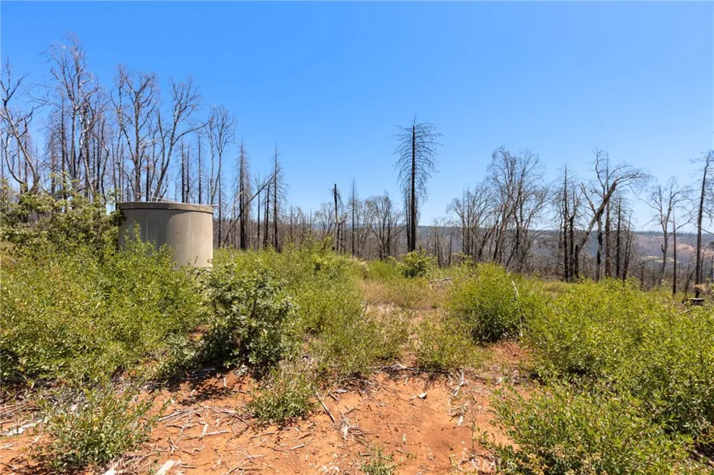 335 Mann And Nolta Ridge Chico, CA 95973
