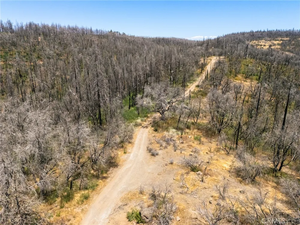 335 Mann And Nolta Ridge Chico, CA 95973